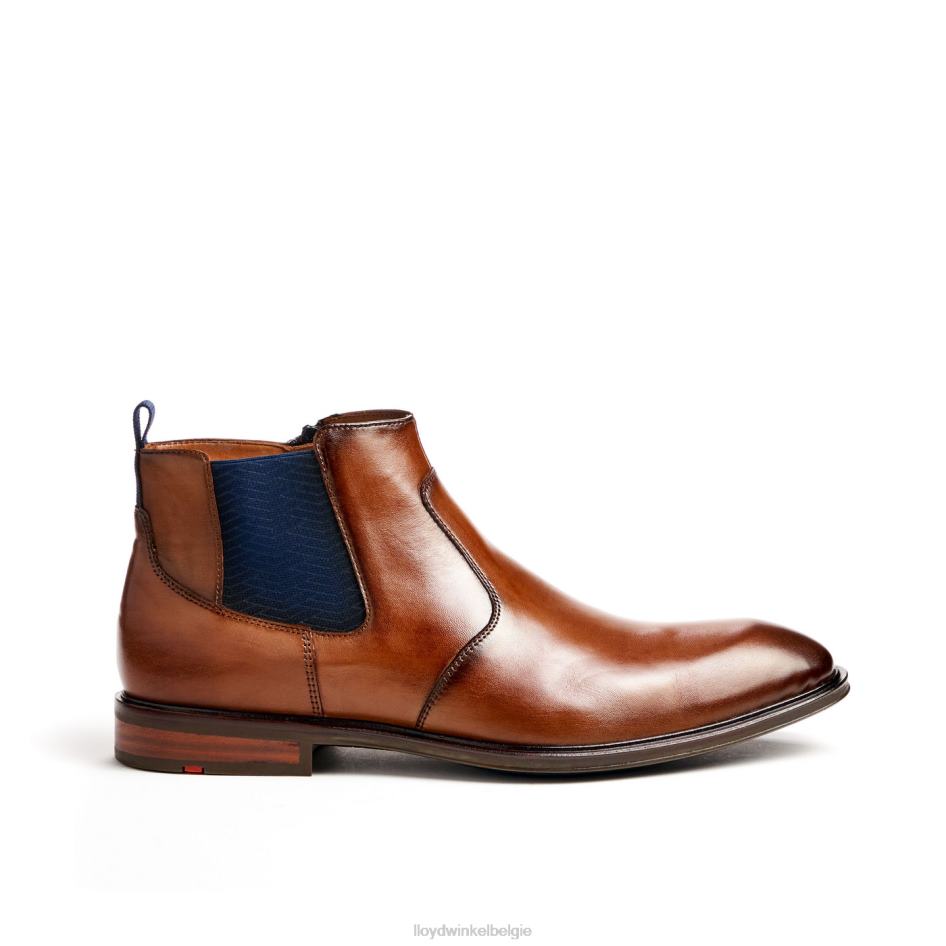 mat Heren LLOYD bruin schoenen ZJ6BL12