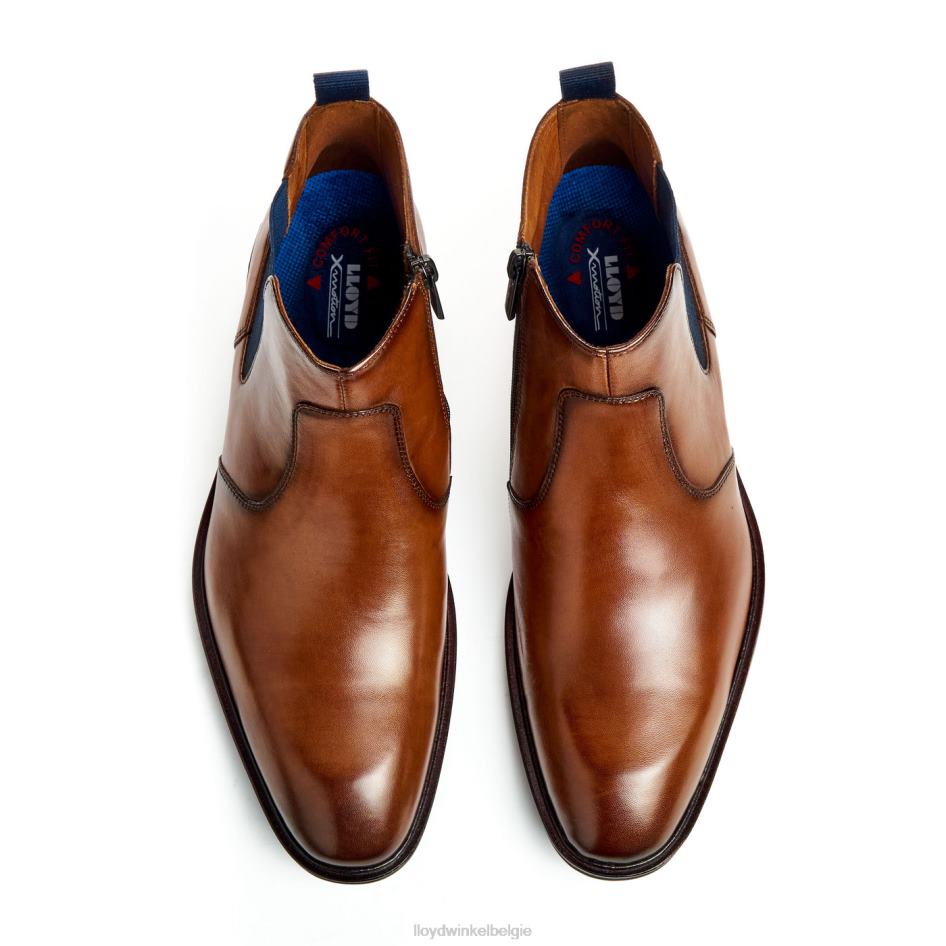 mat Heren LLOYD bruin schoenen ZJ6BL12