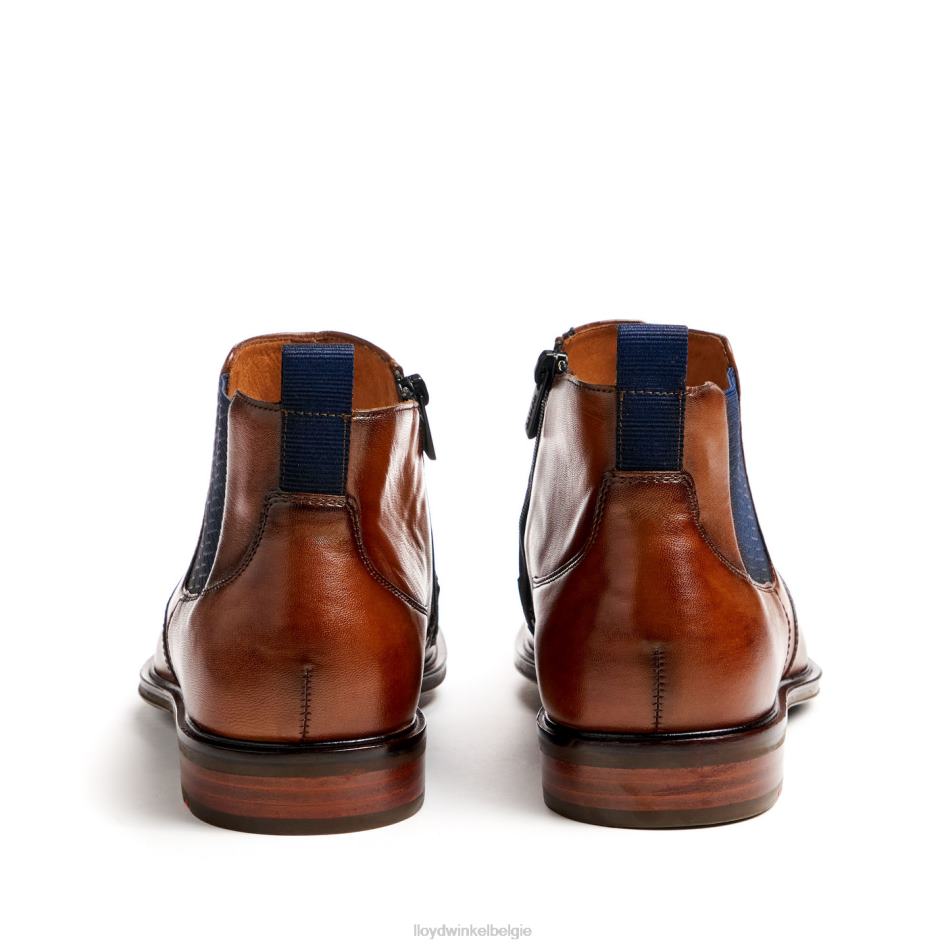 mat Heren LLOYD bruin schoenen ZJ6BL12