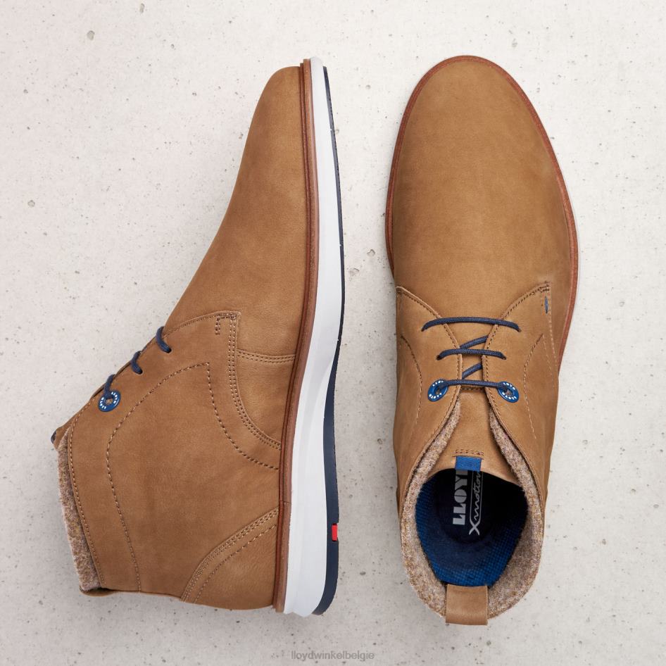 maxwel Heren LLOYD bruin schoenen ZJ6BL275