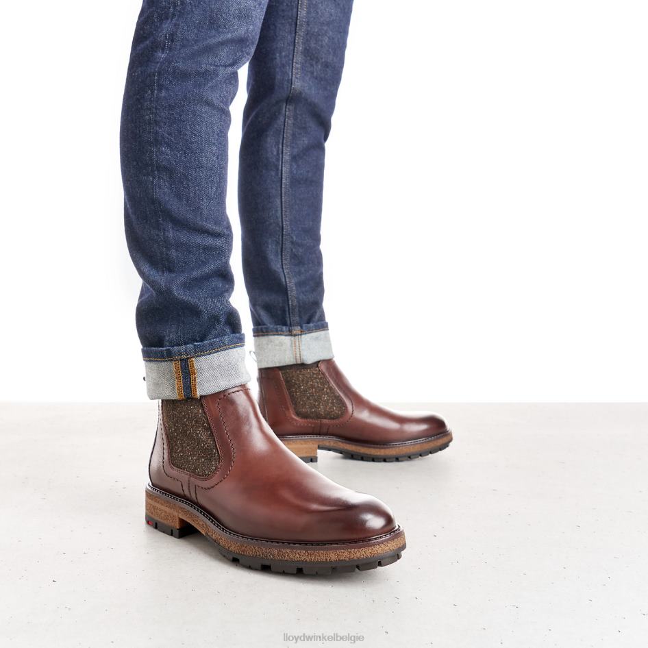 odem Heren LLOYD bruin schoenen ZJ6BL532