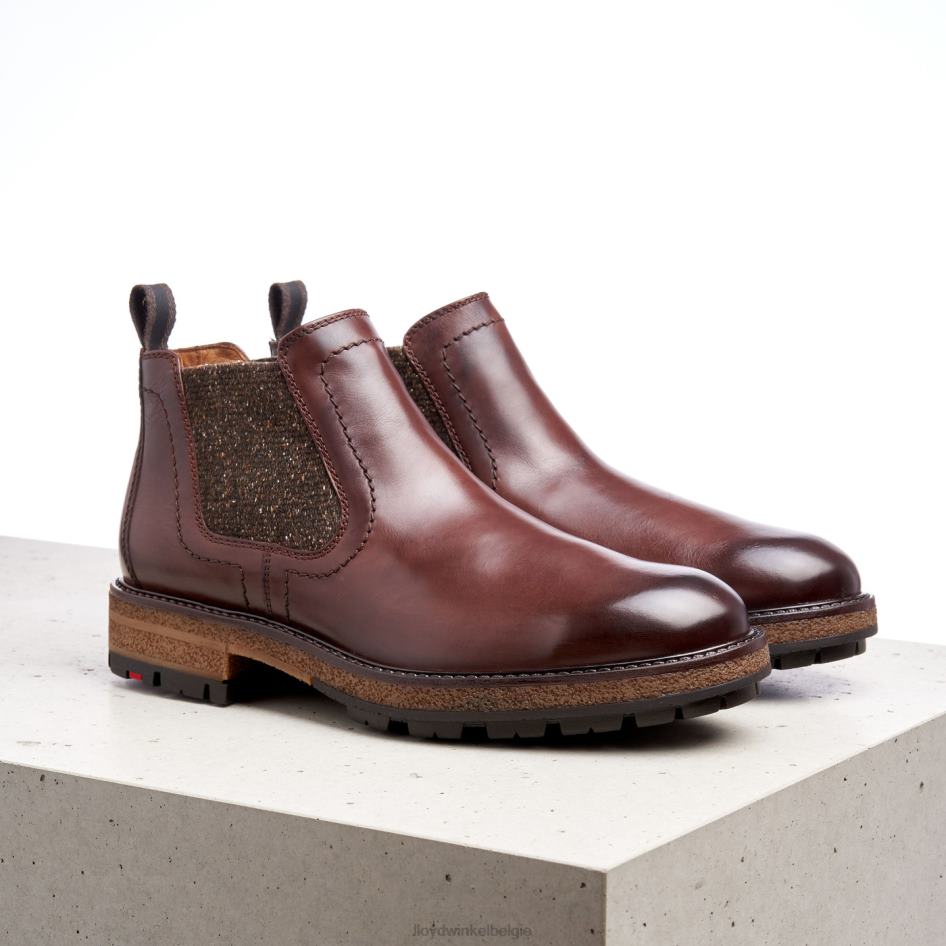 odem Heren LLOYD bruin schoenen ZJ6BL532