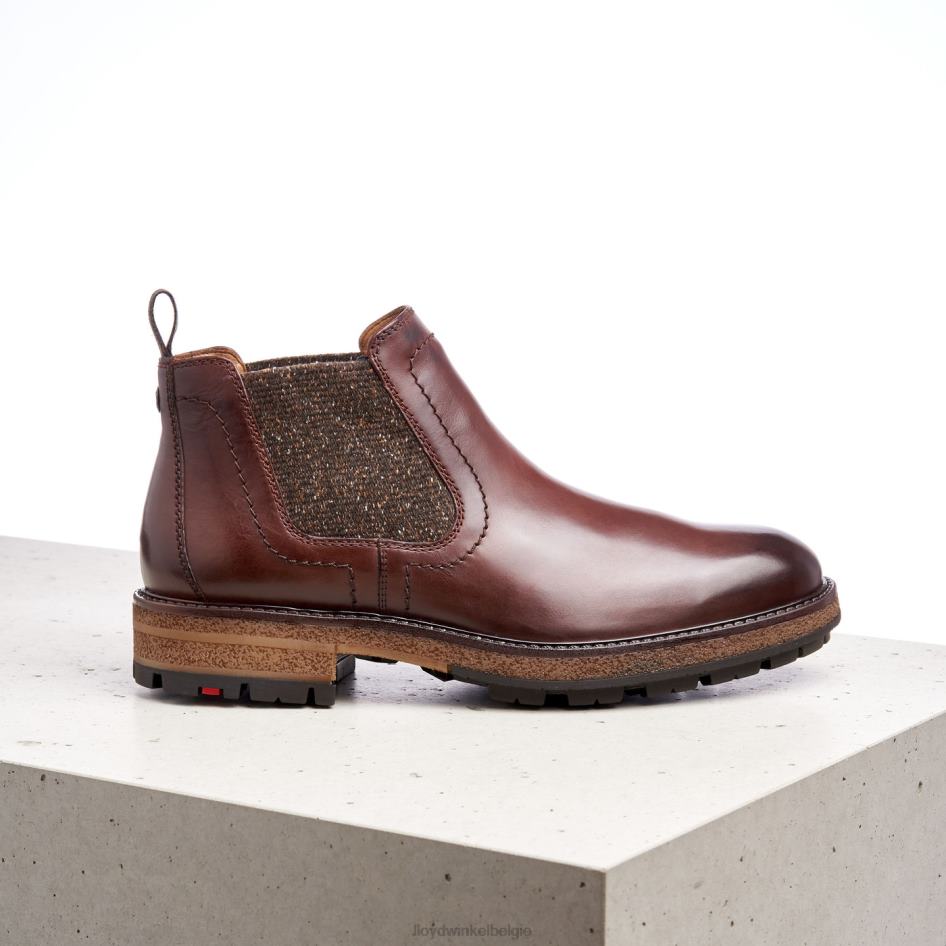 odem Heren LLOYD bruin schoenen ZJ6BL532