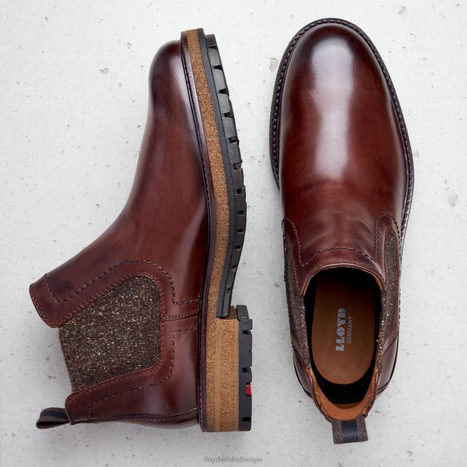 odem Heren LLOYD bruin schoenen ZJ6BL532