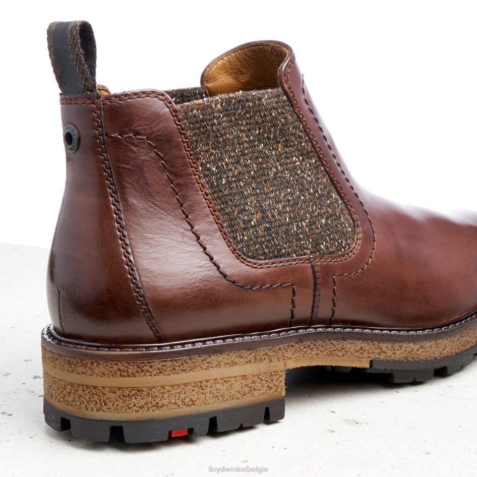 odem Heren LLOYD bruin schoenen ZJ6BL532