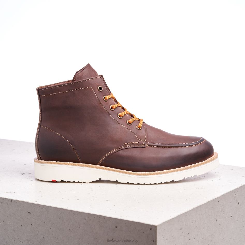 ontkenning Heren LLOYD bruin schoenen ZJ6BL504