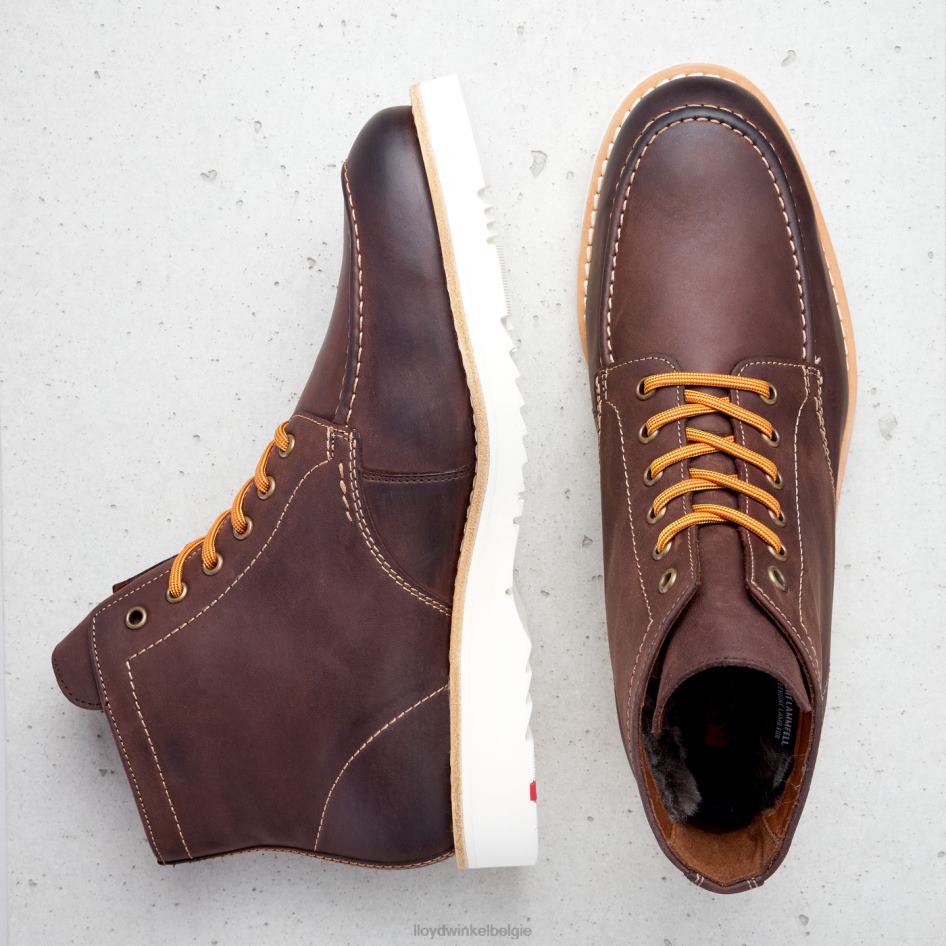 ontkenning Heren LLOYD bruin schoenen ZJ6BL504