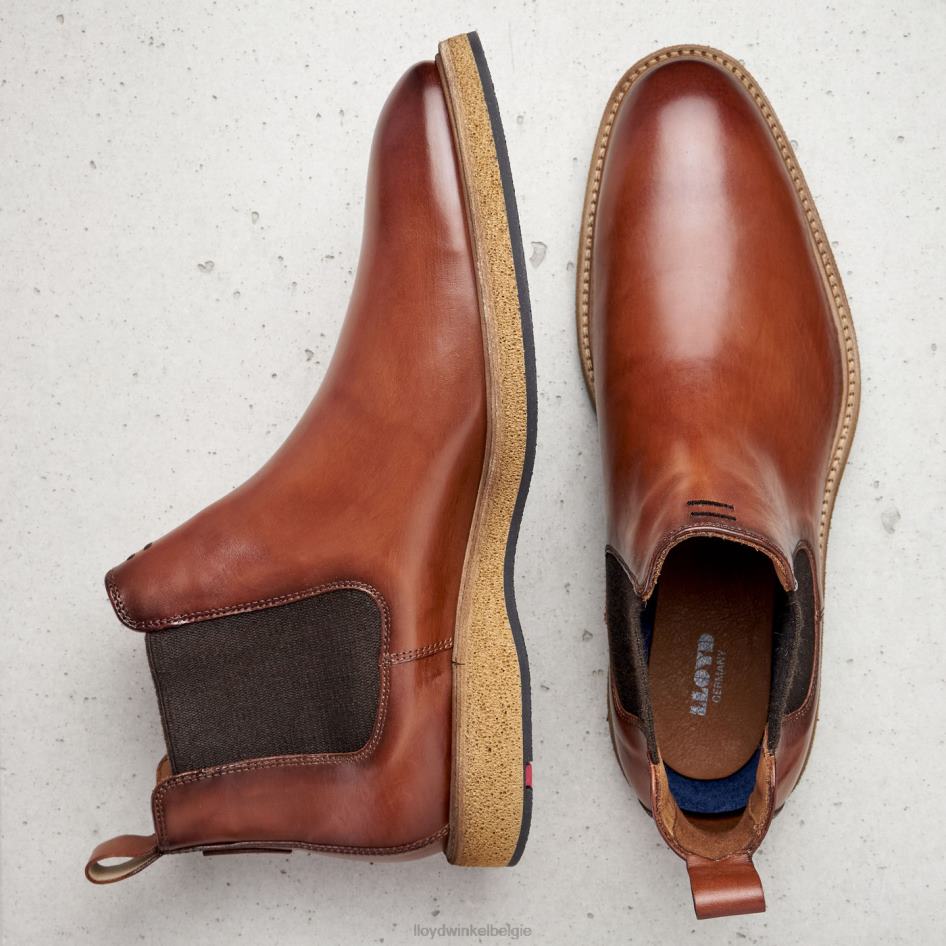 oris Heren LLOYD bruin schoenen ZJ6BL558