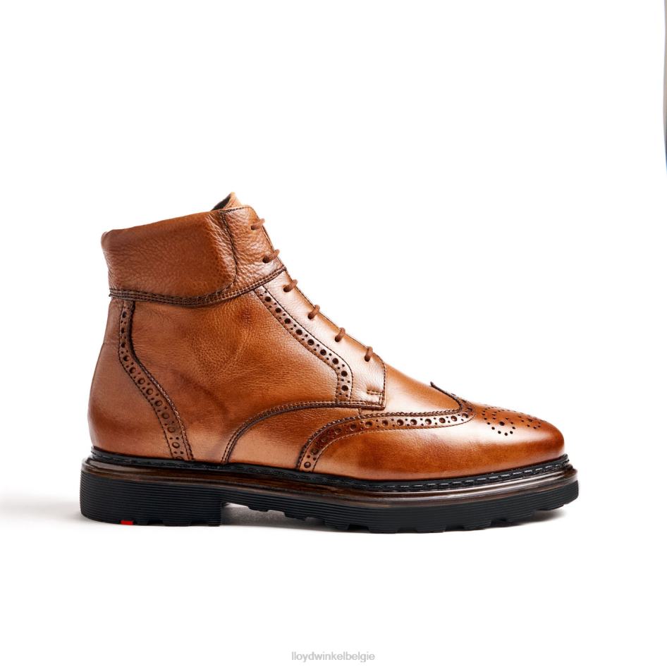 osko Heren LLOYD bruin schoenen ZJ6BL502