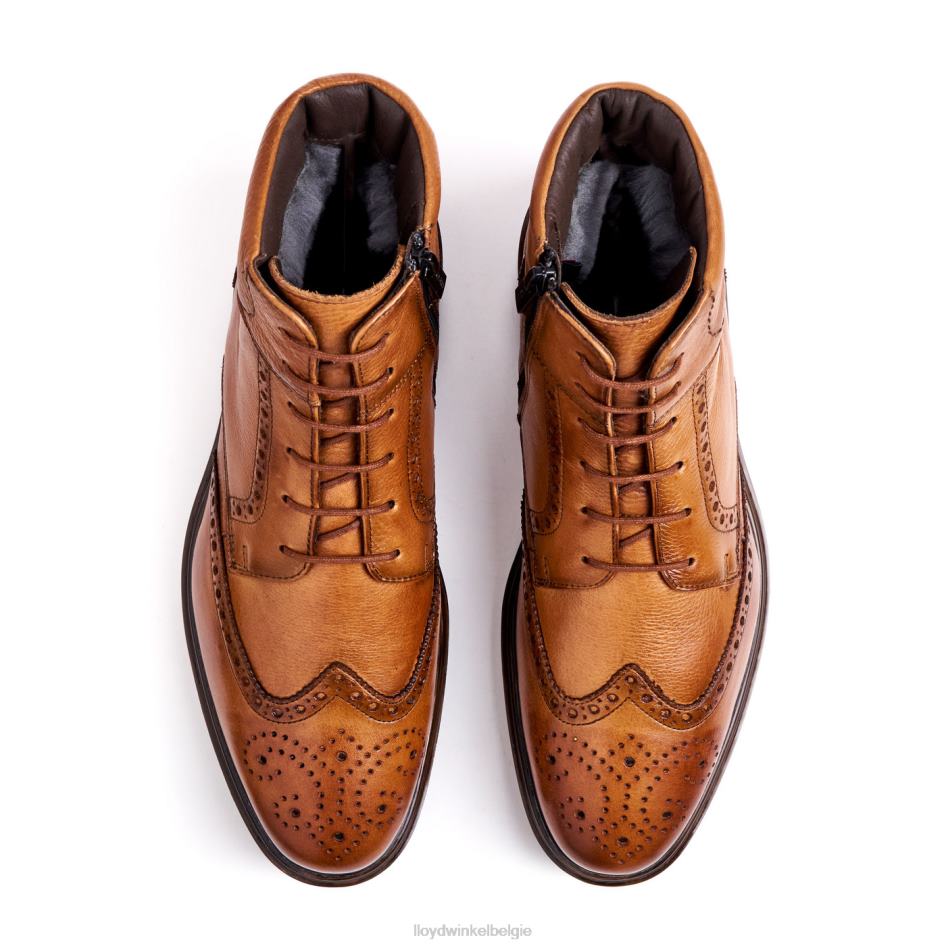 osko Heren LLOYD bruin schoenen ZJ6BL502