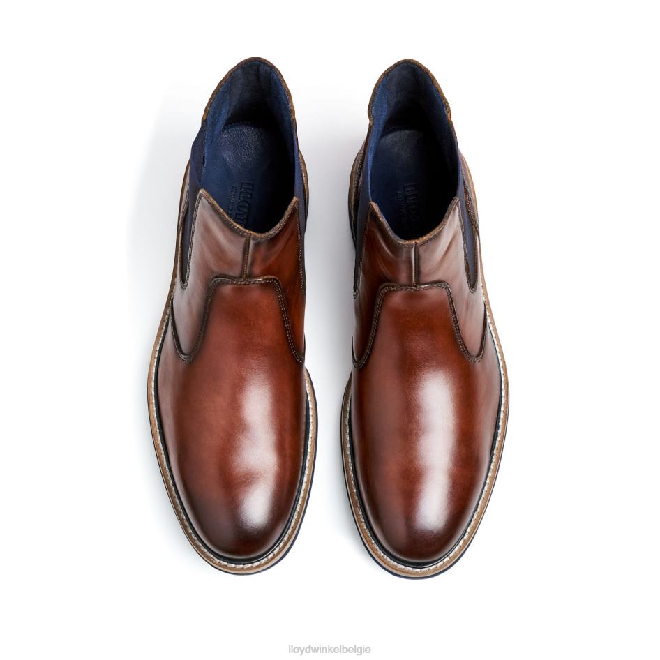 rechts Heren LLOYD bruin schoenen ZJ6BL469