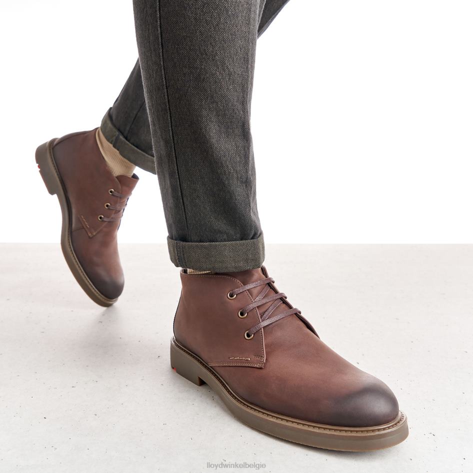 skal Heren LLOYD bruin schoenen ZJ6BL6