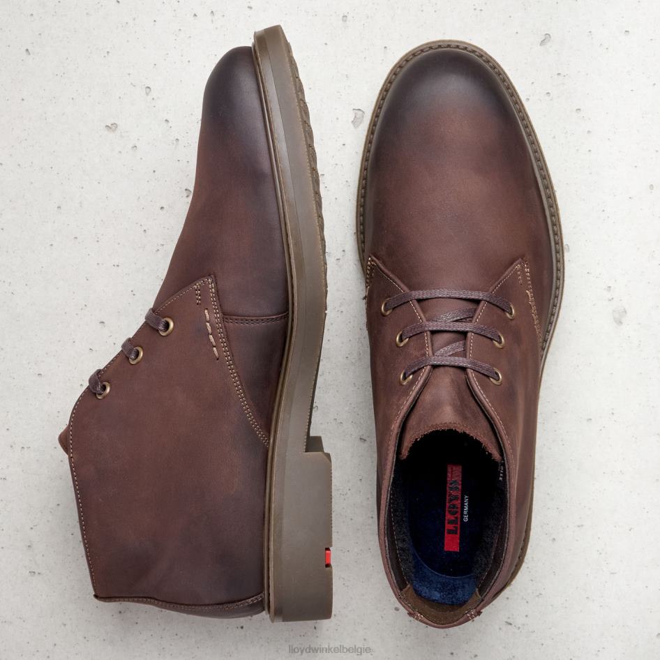skal Heren LLOYD bruin schoenen ZJ6BL6