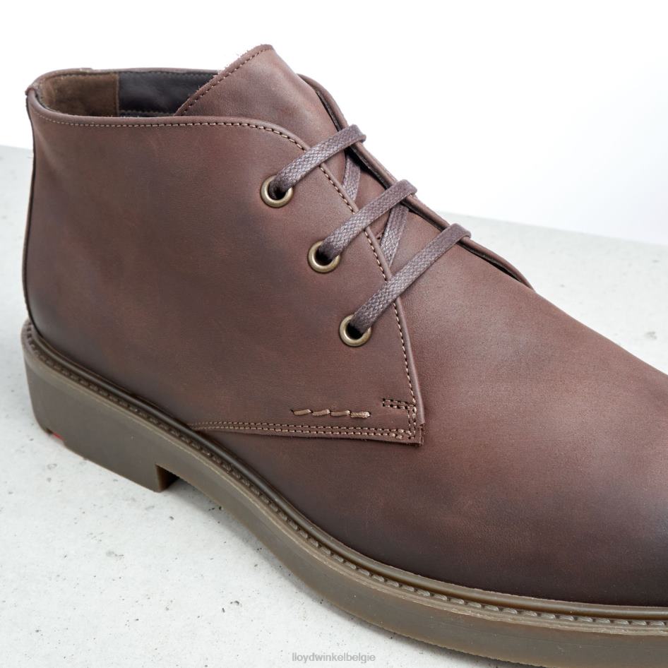 skal Heren LLOYD bruin schoenen ZJ6BL6