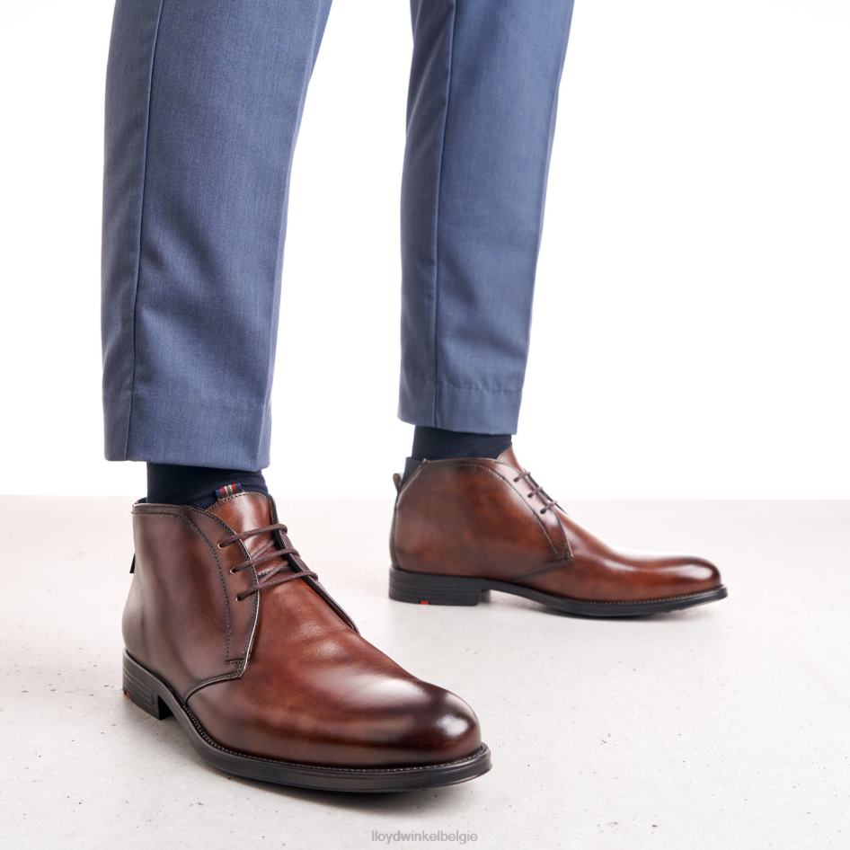 vaan Heren LLOYD bruin schoenen ZJ6BL131