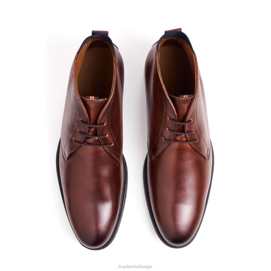 vaan Heren LLOYD bruin schoenen ZJ6BL131