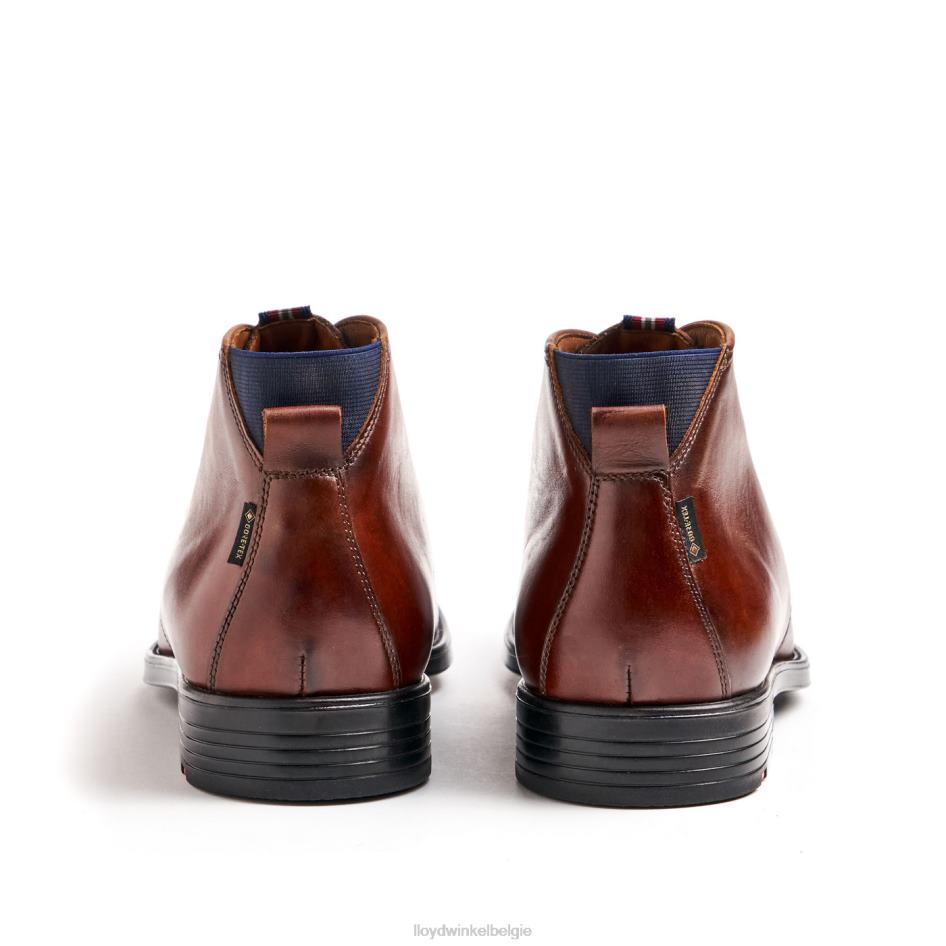 vaan Heren LLOYD bruin schoenen ZJ6BL131