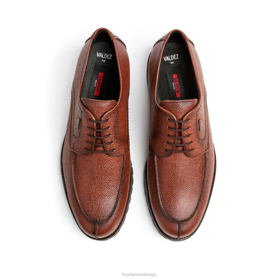 valdez Heren LLOYD bruin schoenen ZJ6BL161
