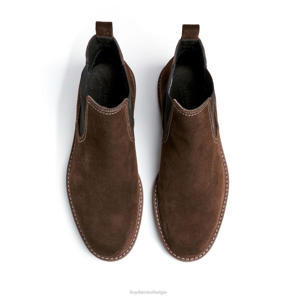 vallei Heren LLOYD bruin schoenen ZJ6BL133