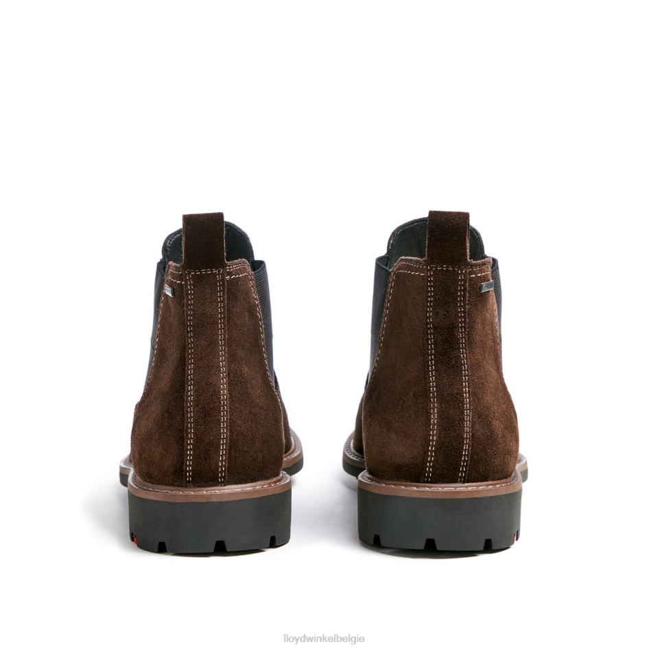 vallei Heren LLOYD bruin schoenen ZJ6BL133