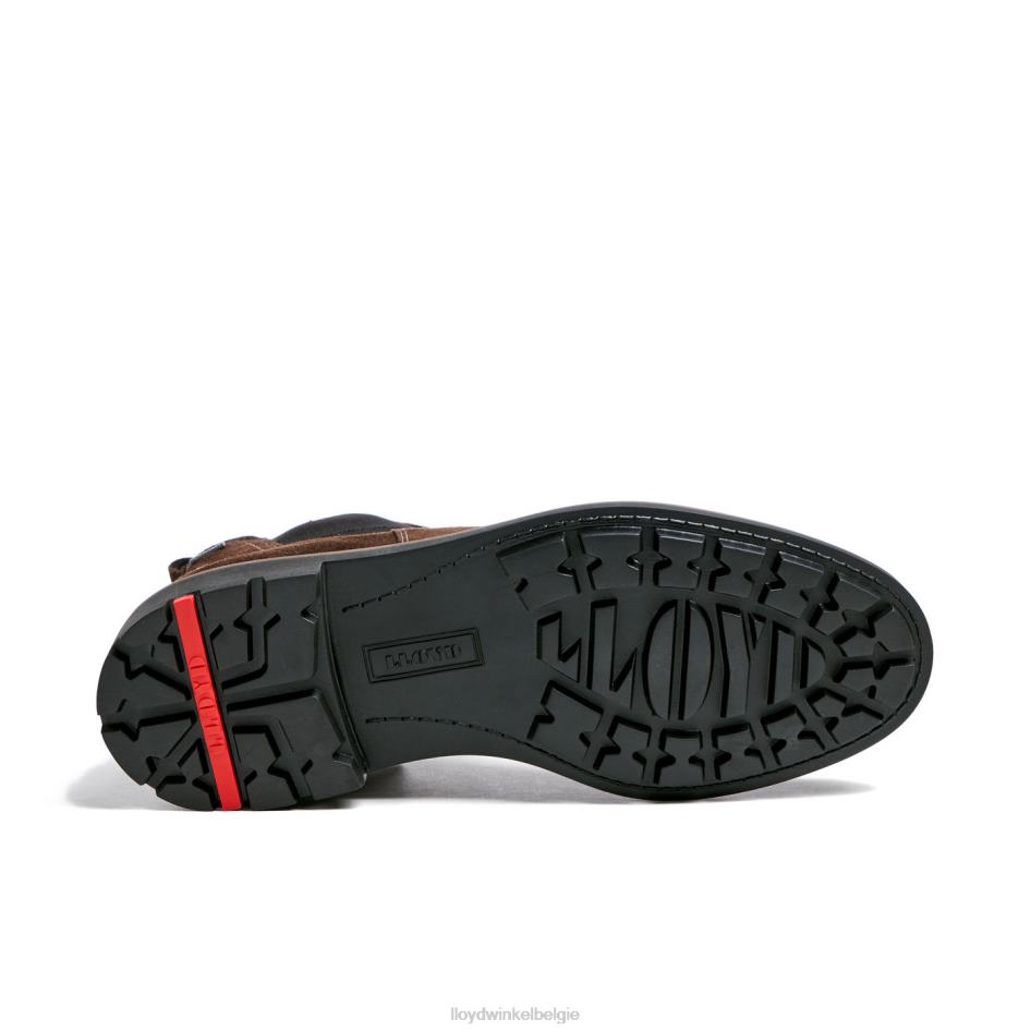 vallei Heren LLOYD bruin schoenen ZJ6BL133