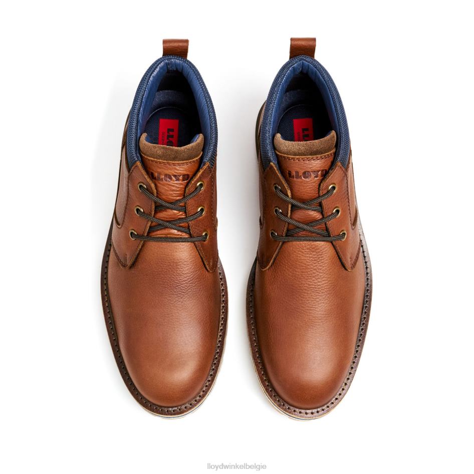 vegas Heren LLOYD bruin schoenen ZJ6BL511