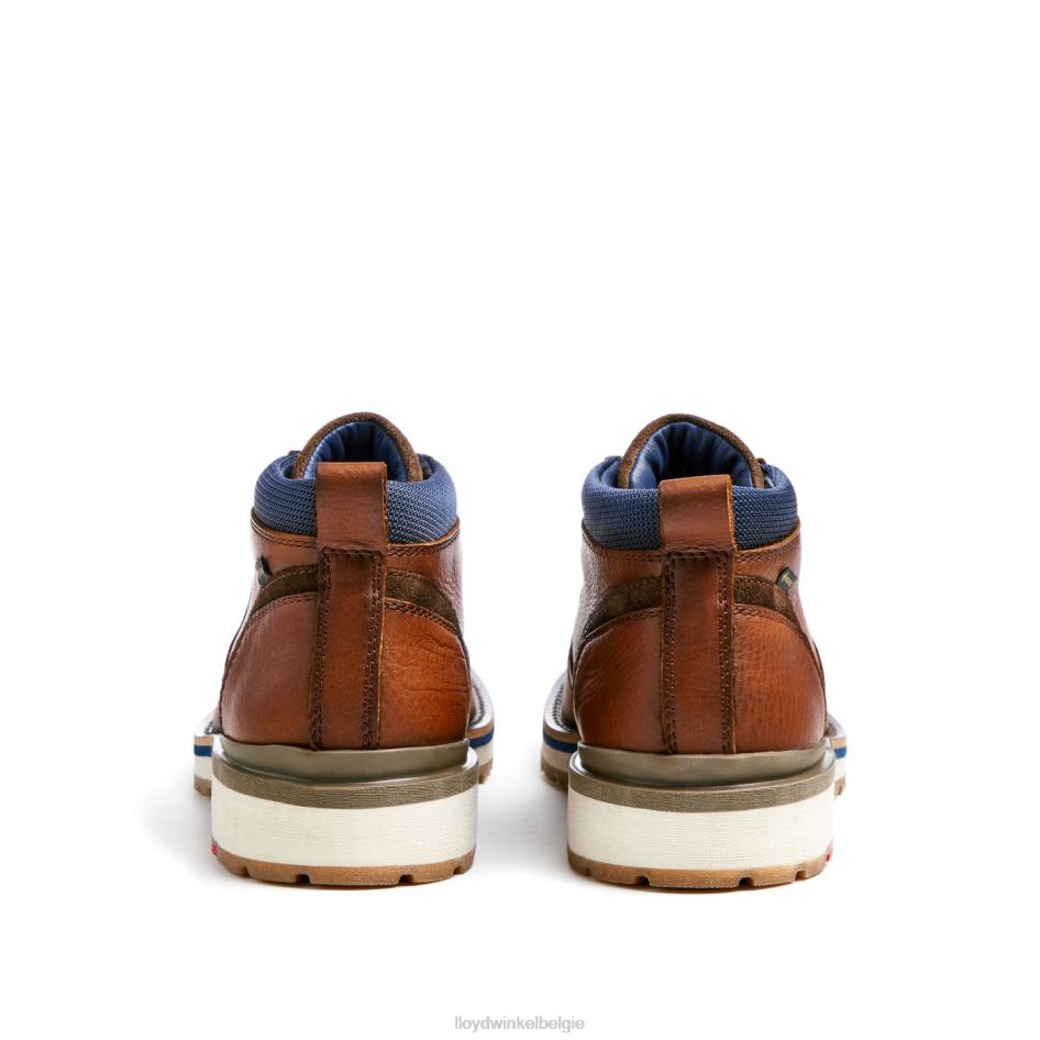 vegas Heren LLOYD bruin schoenen ZJ6BL511