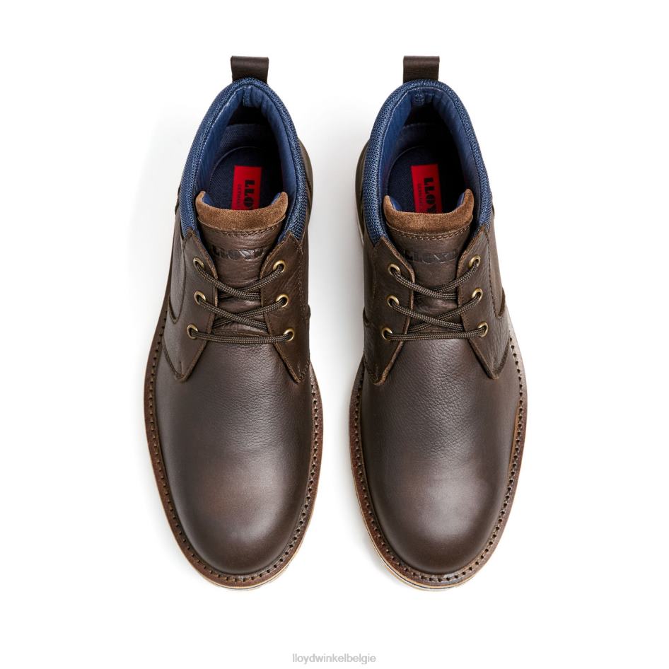 vegas Heren LLOYD bruin schoenen ZJ6BL512