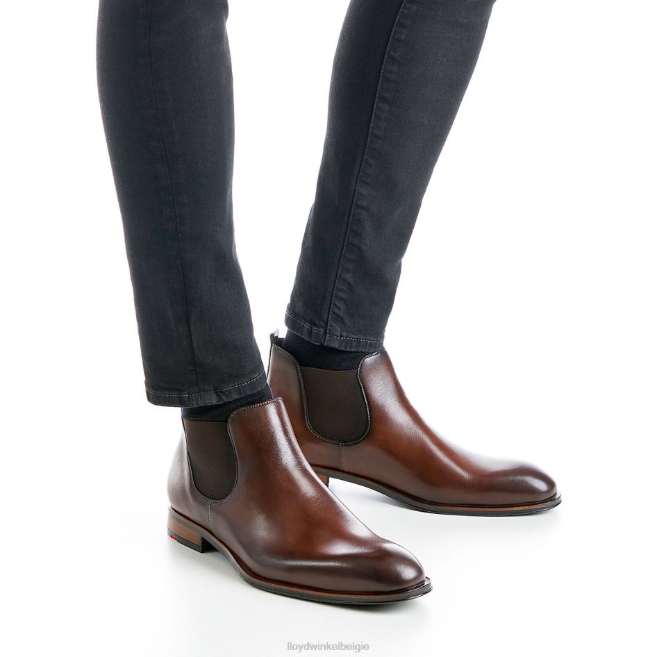 verkenner Heren LLOYD bruin schoenen ZJ6BL239