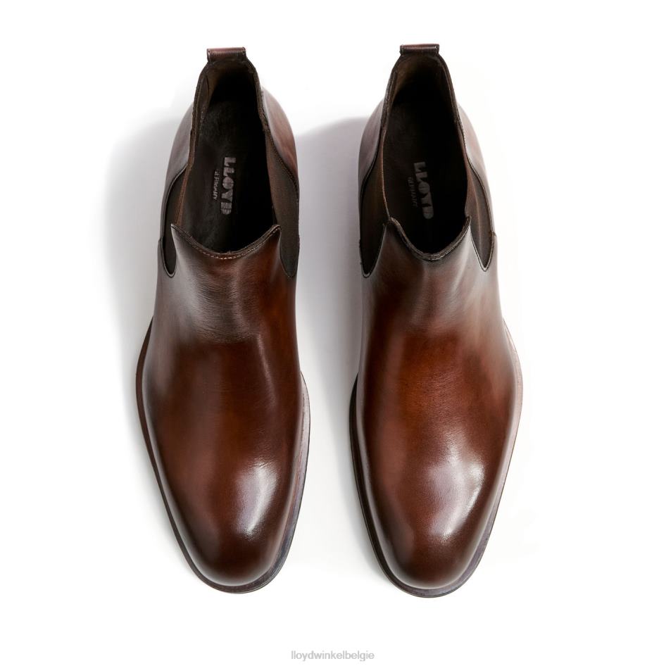 verkenner Heren LLOYD bruin schoenen ZJ6BL239