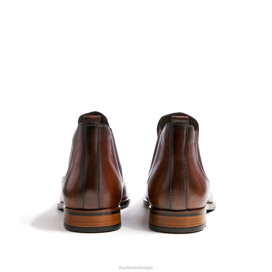 verkenner Heren LLOYD bruin schoenen ZJ6BL239