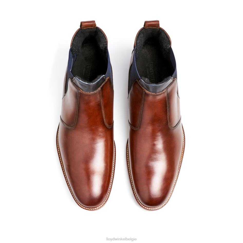 vesuv Heren LLOYD bruin schoenen ZJ6BL145