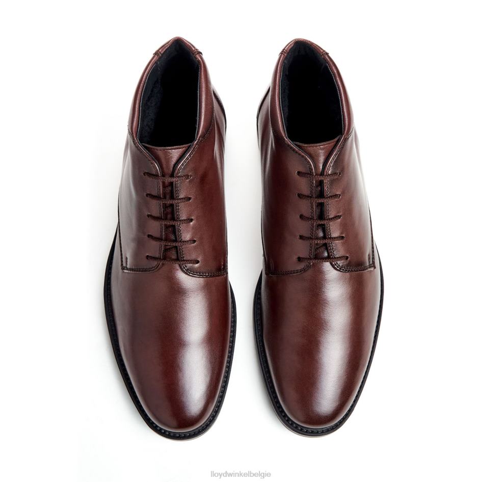 wijnstok Heren LLOYD bruin schoenen ZJ6BL528