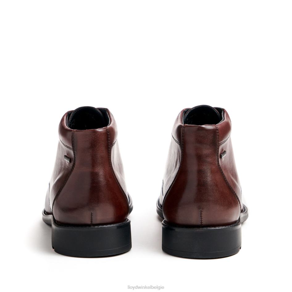 wijnstok Heren LLOYD bruin schoenen ZJ6BL528