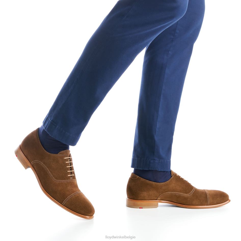 Rando Heren LLOYD bruin schoenen ZJ6BL231