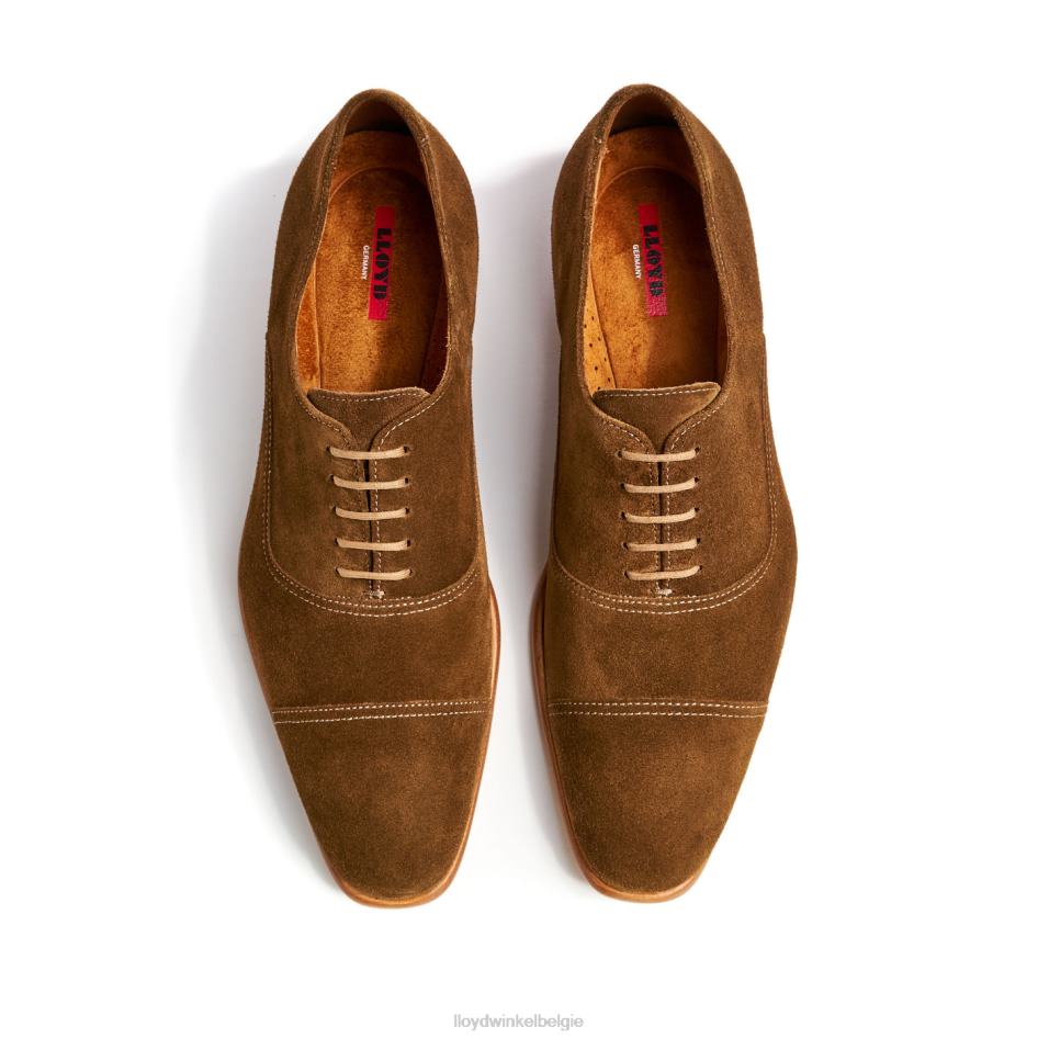 Rando Heren LLOYD bruin schoenen ZJ6BL231