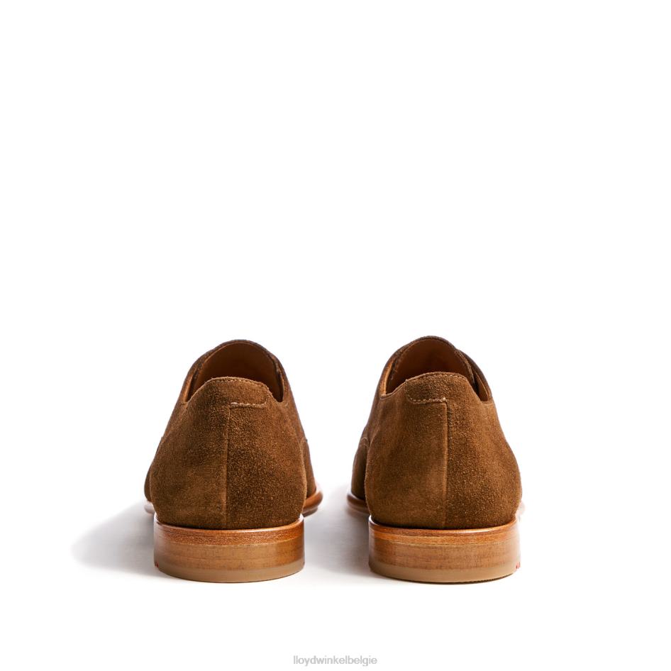 Rando Heren LLOYD bruin schoenen ZJ6BL231