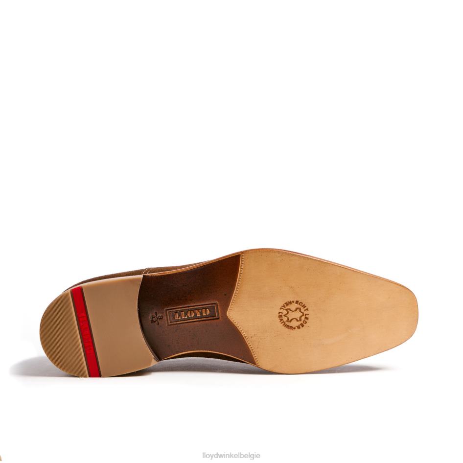 Rando Heren LLOYD bruin schoenen ZJ6BL231