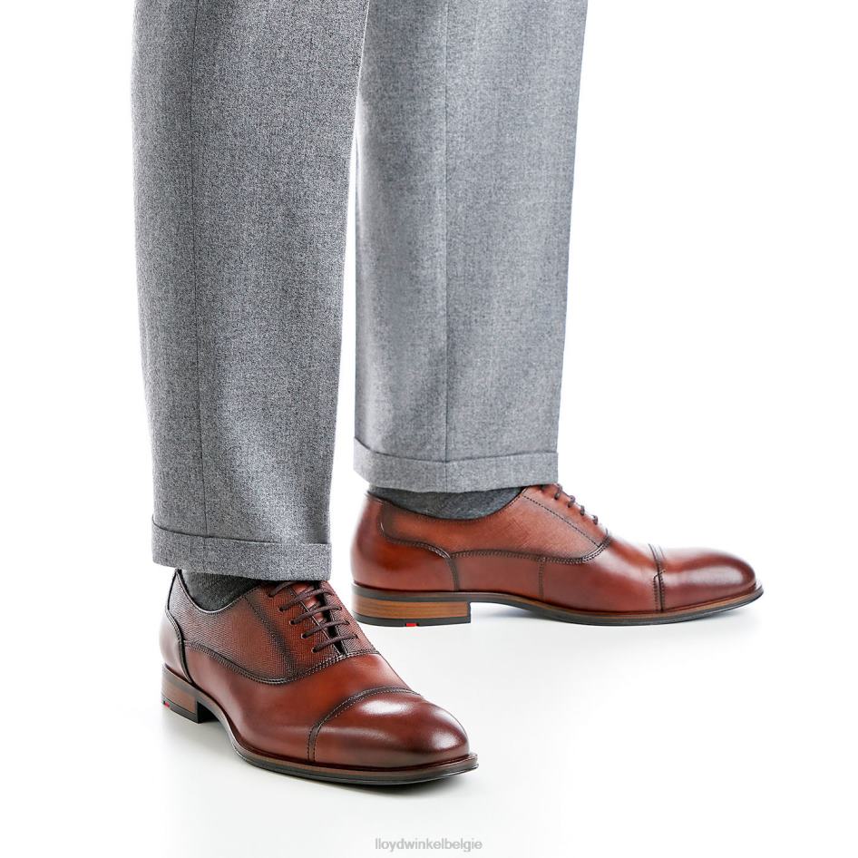 Santiago Heren LLOYD bruin schoenen ZJ6BL238