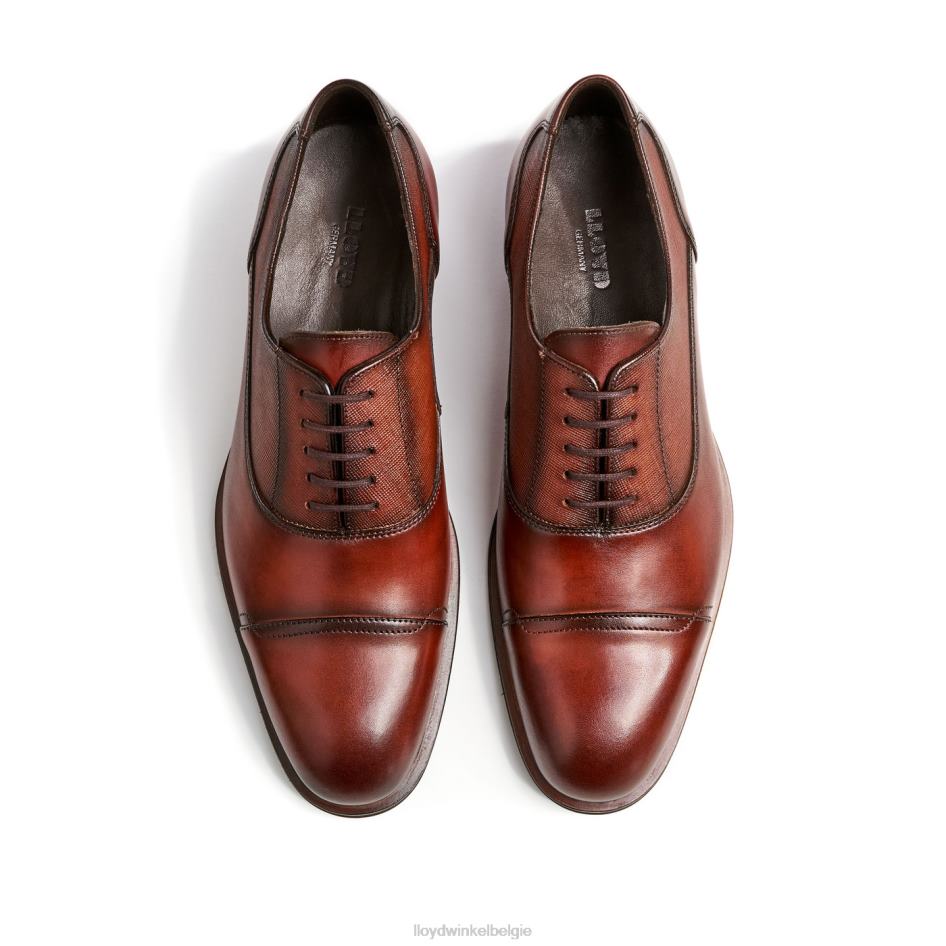 Santiago Heren LLOYD bruin schoenen ZJ6BL238