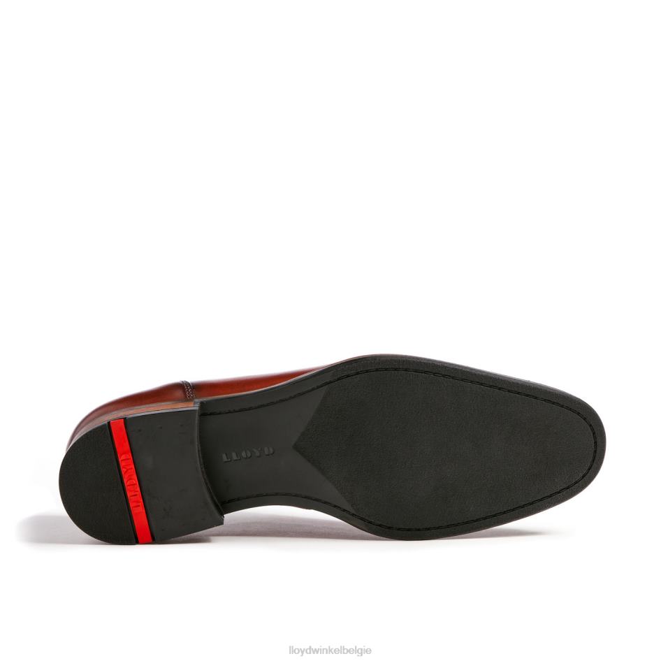 Santiago Heren LLOYD bruin schoenen ZJ6BL238