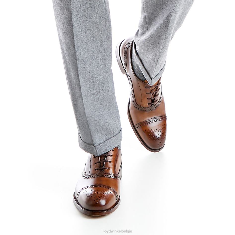 Sheffield Heren LLOYD bruin schoenen ZJ6BL219