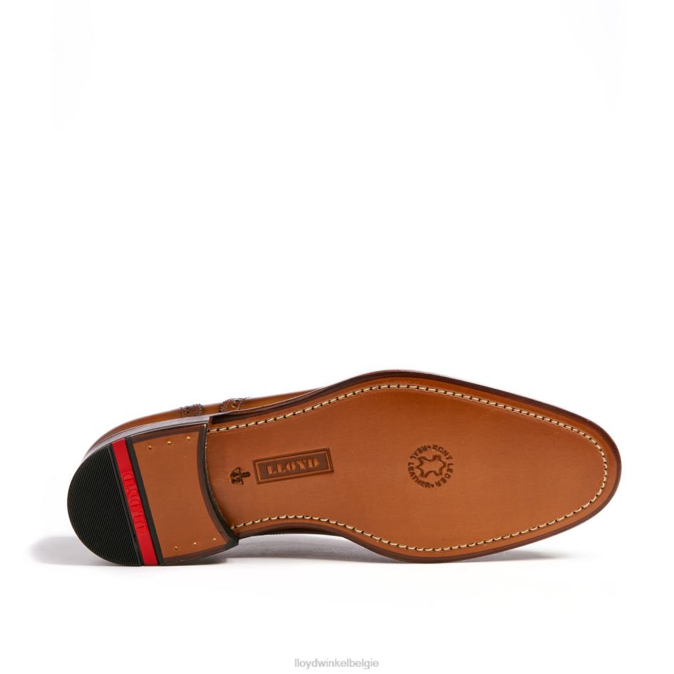 Sheffield Heren LLOYD bruin schoenen ZJ6BL219