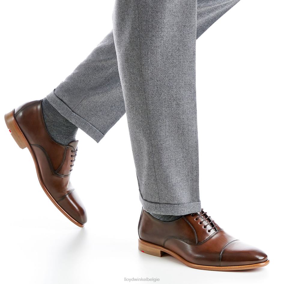 parken Heren LLOYD bruin schoenen ZJ6BL156
