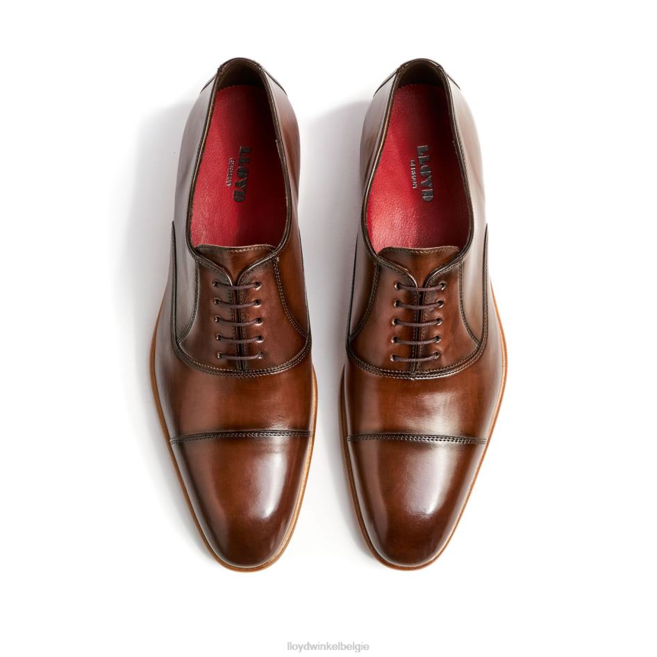 parken Heren LLOYD bruin schoenen ZJ6BL156