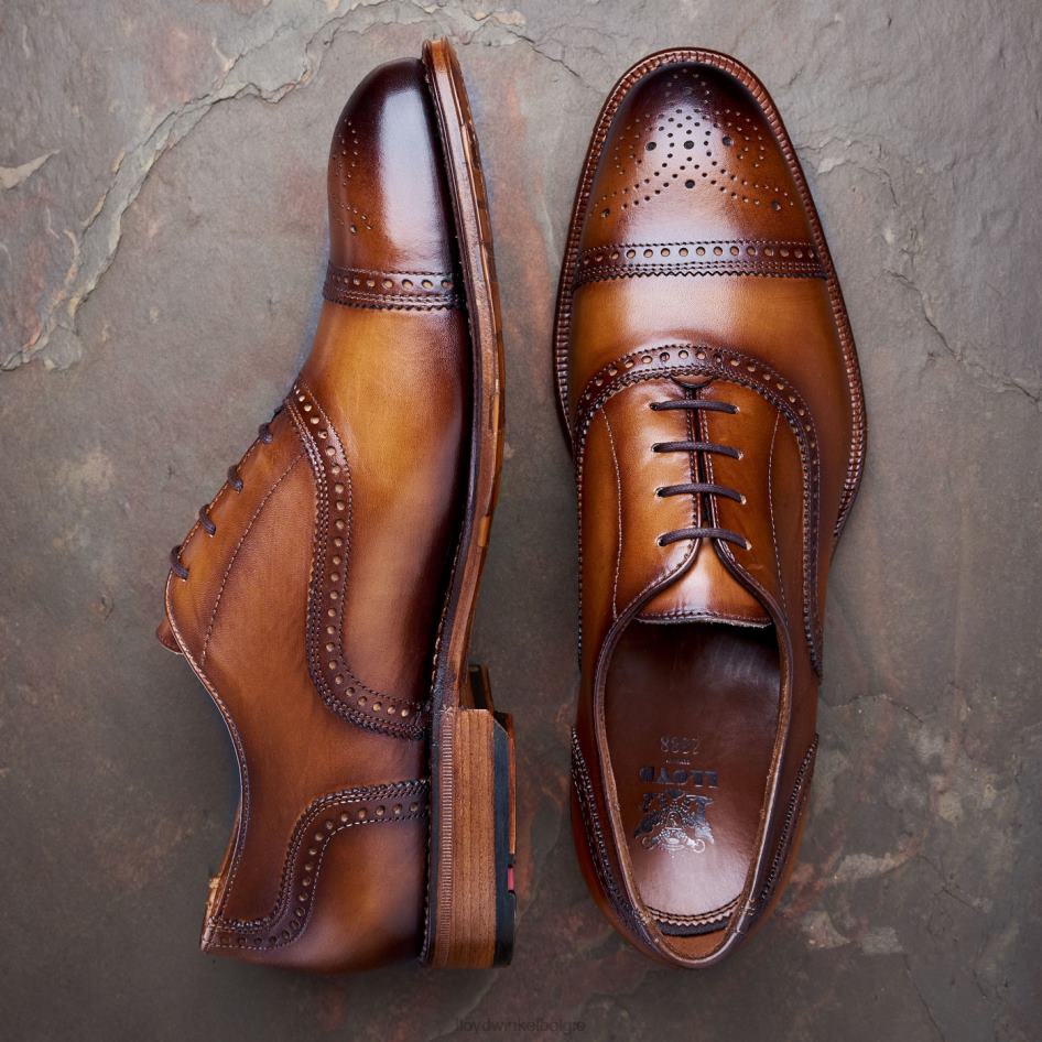 waterloo Heren LLOYD bruin schoenen ZJ6BL21