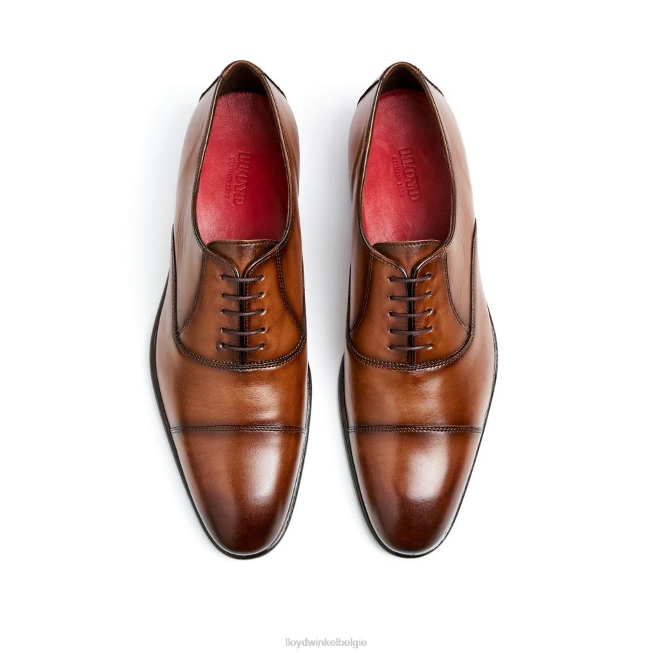 zwembad Heren LLOYD bruin schoenen ZJ6BL1