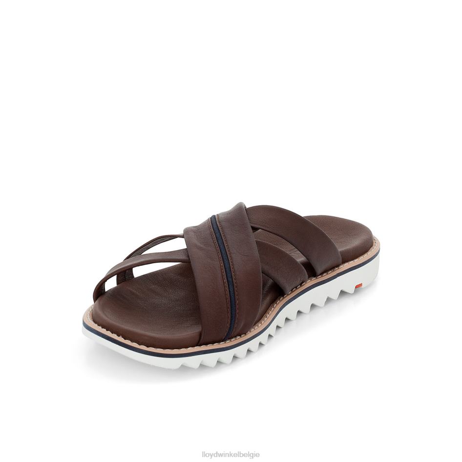 Edvino Heren LLOYD bruin schoenen ZJ6BL584