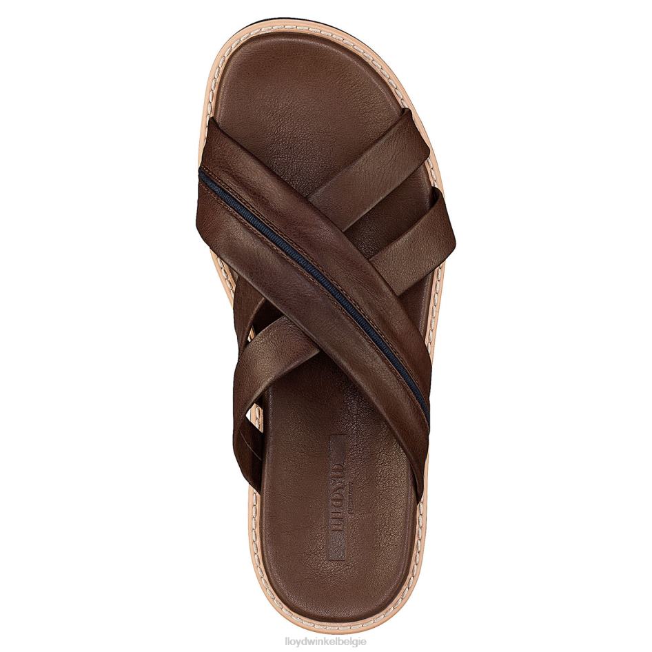 Edvino Heren LLOYD bruin schoenen ZJ6BL584