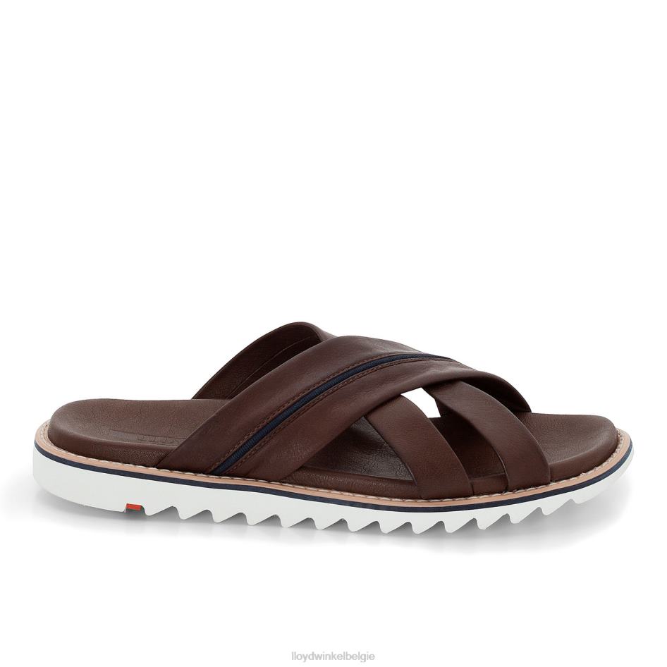 Edvino Heren LLOYD bruin schoenen ZJ6BL584